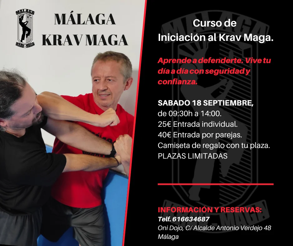 Curso de Iniciación Málaga Krav Maga